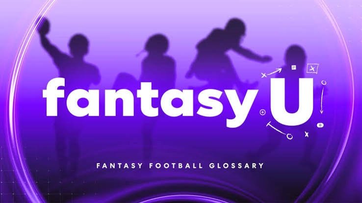 Fantasy sports glossary showing common terms, player statistics, contest types, and strategy concepts in a modern educational dashboard.